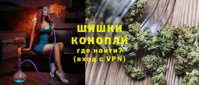 как найти закладки  Порхов  Марихуана SATIVA & INDICA 